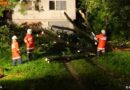 Sbg: Umgestürzter Baum verfehlt kanpp ein Haus