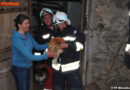Tirol: Henne steckt fest -> Rettung durch Feuerwehr
