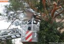 Nö: Menschenrettung aus Baum