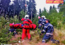 Stmk: Hubschraubereinsatz nach schwerem Forstunfall in Stanz