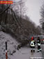 Nö: Feuerwehr Payerbach im Sturmeinsatz -> Baum über Straße