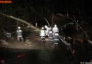 Oö: Feuerwehr entfernt einen umgestürzten Baum von der Fahrbahn