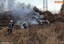 Oö: Spaziergänger entdeckt Brand rechtzeitig