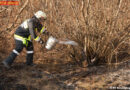 Nö: Bahndammbrand bei klirrender Kälte