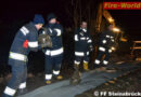 Nö: Hochwasser-Einsatz bei Kleinkraftwerks-Baustelle in Steinabrückl