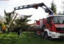 Nö: Baum droht umzustürzen