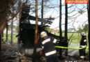 Bgld: Hütte am Waldrand in Oberwart in Flammen