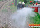 Oö: Brand entlang des Bahndammes in Steyregg