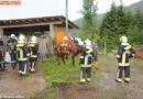 Stmk: Feuerwehr rettet 500 Kilo schwere Kuh aus Jauchegrube in Seckau