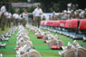 Videos: Oö. Landesbewerb 2012 -> Zwei Movies zum Bewerb in Braunau