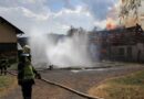 Stmk: 15 Kälber bei Großbrand verendet
