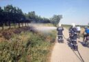 Bgld: Flurbrband neben Radweg und Weingärten