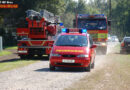 Stmk: Grazer Berufsfeuerwehr bildet sich in der Waldbrandbekämpfung fort
