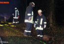 Deutschland: Mit Pkw Hirsch gerammt -> Mercedes in Vollbrand
