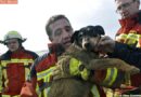 D: Feuerwehr befreit Hundedame aus Fuchsbau