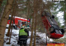 Bgld: Lenkerin mit Auto in den Wald gestürzt