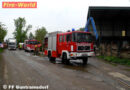 Nö: Zweiter Einsatz in Guntramsdorf: Container in Halle in Brand