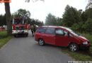 Nö: Bei Ausweichmanöver gegen Baum gekracht
