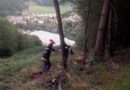 Stmk: Baum fällt auf Stromleitung – Waldbrand verhindert