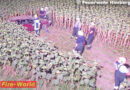 Nö: Autobergung nach Überschlägen in ein Sonnenblumenfeld