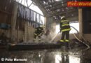 Oö: Mohn setzt Gerätehalle in Ried/Riedmark in Brand -> Hoher Schaden