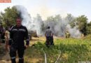 Nö: Drei Feuerwehren bei Flurbrand im Einsatz