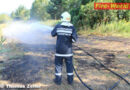Stmk: Wiesenbrand bei tropischer Hitze