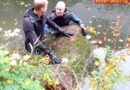 Bayern: Augsburger Taucher bergen zwei große Baumstämme