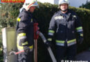Oö: Brennender Reißighaufen in einem Waldstück in Hagenberg