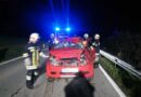 Oö: Fahrzeugüberschlag durch Ausweichmanöver nach Wildwechsel