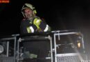 Nö: Katze auf Baum -> Feuerwehr rückt mit der Drehleiter an