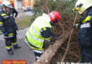 Nö: Sturm köpft mit Christbaum Hl. Florian-Statue in Gr. Weikersdorf