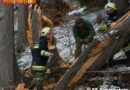 Oö: Feuerwehr Scharnstein zu zwei Sturmeinsätzen ausgerückt