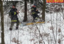Oö: Schneepflug auf Abwegen in Hartkirchen