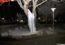 D: Brennender hohler Baum mit Schaum abgelöscht