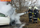 Nö: Autobrand in Margarethen am Moos