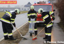 Stmk: Auto durchschlug zwei Bäume und eine Straßenlaterne in Flatschach