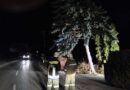 Nö: Mehrere Sturmeinsätze in Penk-Altendorf