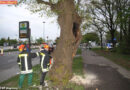 Bayern: Baum droht in Augsburg nach Brand auf Haltestelle zu stürzen