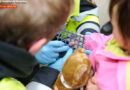 Bayern: Kind steckt mit Finger in Sitzbank fest