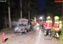 Schweiz: Autobrand beim Viehtransport auf die Alm