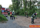 Nö: Mehrstündiger Umwelteinsatz für die Feuerwehr in Traiskirchen