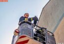 Nö: Mit der Drehleiter zur Vogelrettung
