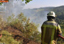 Schweiz: Feuer im Wald zwischen Dornach und Gempen