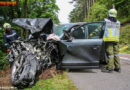 Nö: Menschen- u. Tierrettung nach Verkehrsunfall auf der L4007 im Bezirk Baden