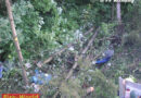 Oö: Pkw-Kollision mit Baum auf der B1 in Attnang-Puchheim