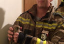 Nö: Feuerwehr holt kleinen Falken aus Wc-Lüftungsschacht