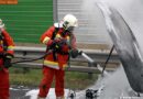 Nö: Pkw-Brand auf der A21 bei Gießhübl