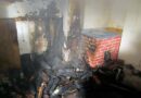 Bgld: Katze bei Kellerbrand gerettet