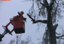 Nö: Feuerwehren des Bezirks Horn im Eis-Dauereinsatz